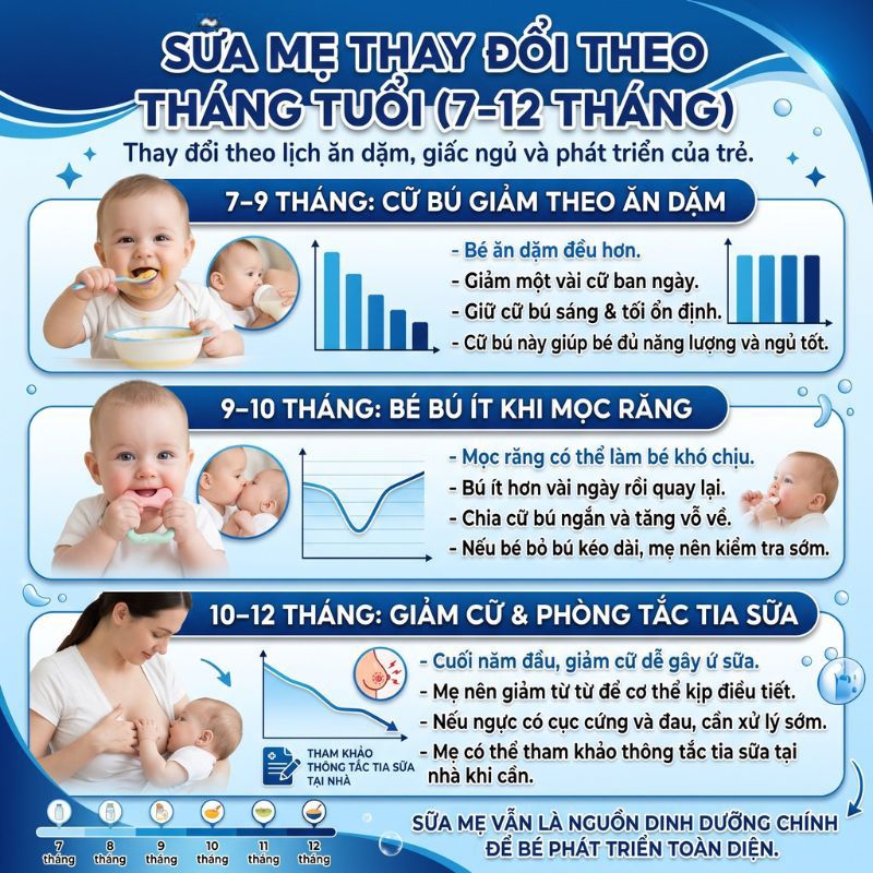 sự thay đổi của sữa mẹ trong 7 đến 12 tháng